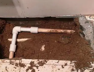 南通测漏水哪家好