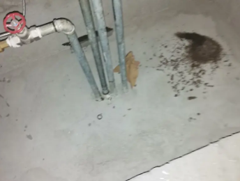 南通卫生间测漏水价格明细